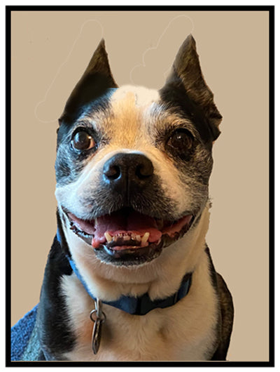 Bo